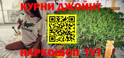 шишки Партизанск