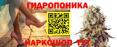 индика Первоуральск
