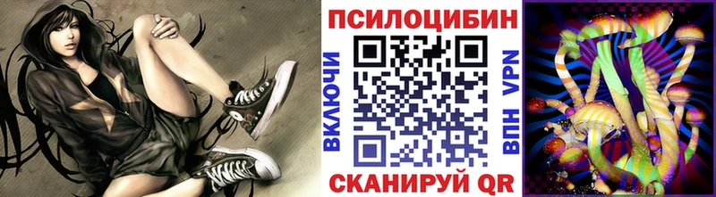 купить закладку  Чайковский  shop формула  Галлюциногенные грибы Psilocybe 