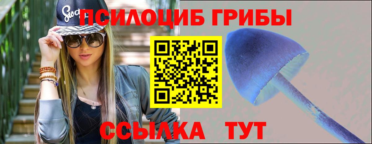 Чайковский  даркнет сайт  Вход с VPN  Галлюциногенные грибы Psilocybine cubensis 