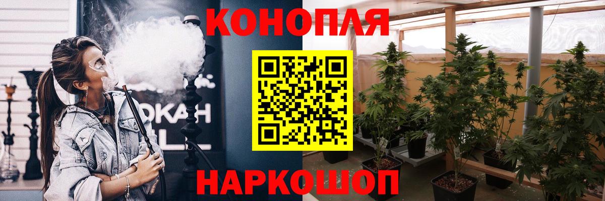 Марихуана сатива  Бошки Шишки MAZAR  Чайковский  Каннабис сатива  Бошки Шишки индика  Вход с VPN 